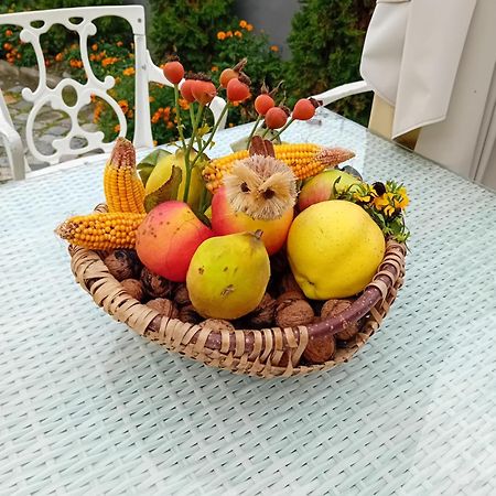 Casa Continentelor 호텔 큼풀룬그 외부 사진